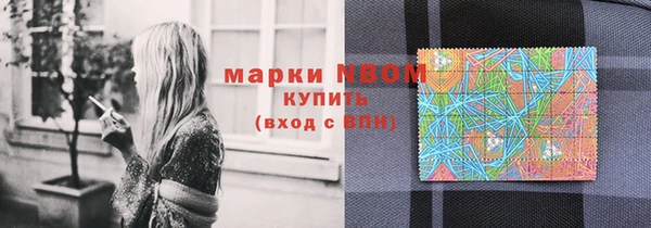 ешки Алексин