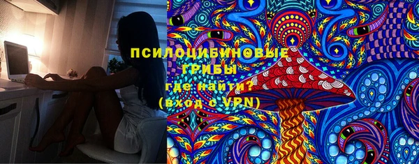 ешки Алексин